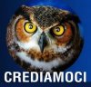 crediamoci gufo.jpg