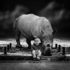 animal,b,w,children,cute,hippopotamus,people-715152224f034d7bb50cb002d4c3028e_h.jpg