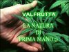 valfrutta.jpg