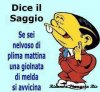 DICE_IL_SAGGIO_2.jpg