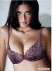 ScreenHunter_206 Dec. 13 09.50.jpg
