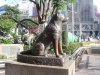 hachiko200505-41.jpg