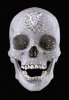 ID_IC_MEIS_SKULL_AP_001.jpg