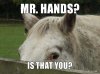319383d1322260337-brony-thread-dont-afraid-check-out-d-mr-hands-you.jpg