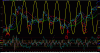 Buck137.gif