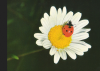 2013-02-25_191048.png