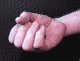 pugnetta.gif
