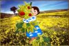 haidi-mimose.jpg
