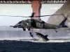 sharkattack.jpg