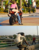 539x700px-LL-7c9de452_goatthongmotorcycle1.png