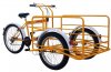Triciclo Cargo Bike Titan 300 Moto Fuerza 7 - Resize.jpg