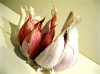 aglio-antibiotico-naturale-650x487.jpg