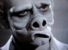 pig_face.jpg
