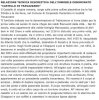 Pagina--424relazione.jpg