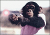 60a0ce44382f35cee674b3e11f77.gif