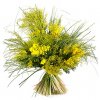 bouquet-mimosa-bouquet-seul-3093-406.jpg