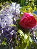 Foto0225.jpg