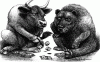 bull-bear1.gif