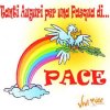 pasqua di pace.jpg