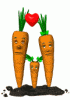 caroteanim2.gif