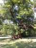 CAM00365.jpg