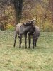 2013-10-28 11.13.16.jpg