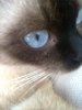 Foto0411.jpg