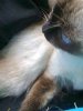 Foto0432.jpg