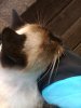 Foto0434.jpg