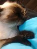 Foto0436.jpg