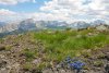 IMG_7754.jpg