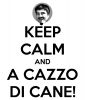 keep-calm-and-a-cazzo-di-cane-4.png