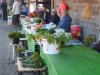 TALLINN 11-14 SETTEMBRE 2014 128.JPG