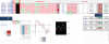 FIB D.png