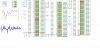 sp500 w.png