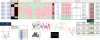 FIB D.png