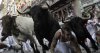 bull-run-denis-doyle-getty-images.jpg