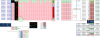 FIB D.png