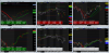 2014-10-27 21_30_06-AmiBroker.png