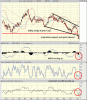 guano1-11-14.gif