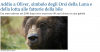 orso bile.png