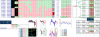 FIB D.png