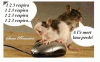 Topi + mouse.gif