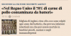 carne e batteri.png