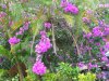 DSCN2671.JPG