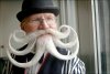 world-beard-championships.jpg