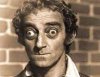 martyfeldman.jpg