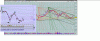 belindo.GIF