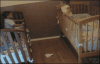 C__Data_Users_DefApps_AppData_INTERNETEXPLORER_Temp_Saved Images_tumblr_n2tg25X8Ka1qdlh1io1_400.gif