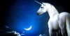sei-un-magico-unicorno.jpg